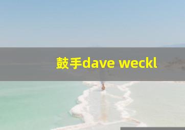 鼓手dave weckl